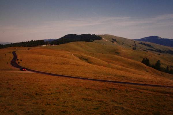Bear River Ridge Road - Off HWY 101 (3/5/2008)