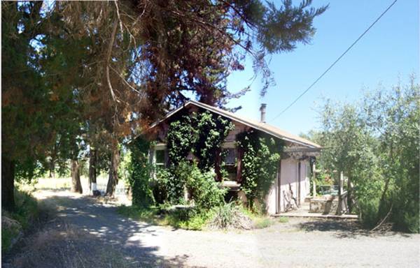 Blue Rock Vineyard (12/31/2003)