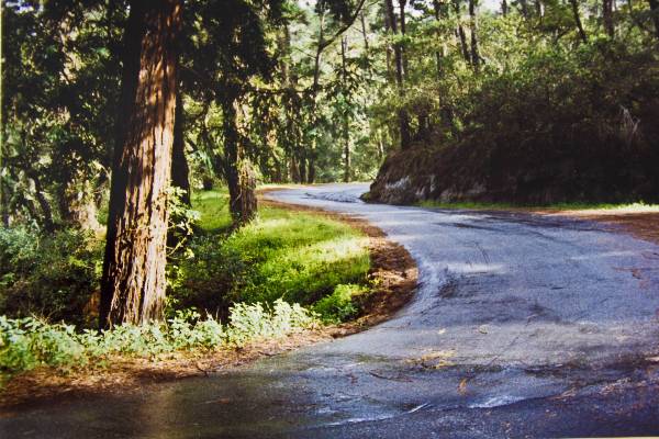 Fern Canyon Road (3/17/2008)