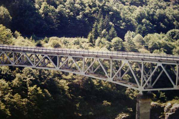 Klamath River Rd. (4/23/2008)