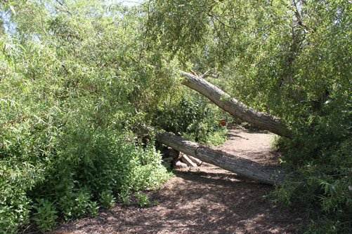 Shipley Nature Center (3/28/2012)