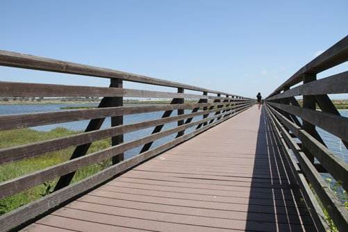 Bolsa Chica Ecological Reserve - California Department of Fish & Wildlife (CDFW) (4/5/2012)