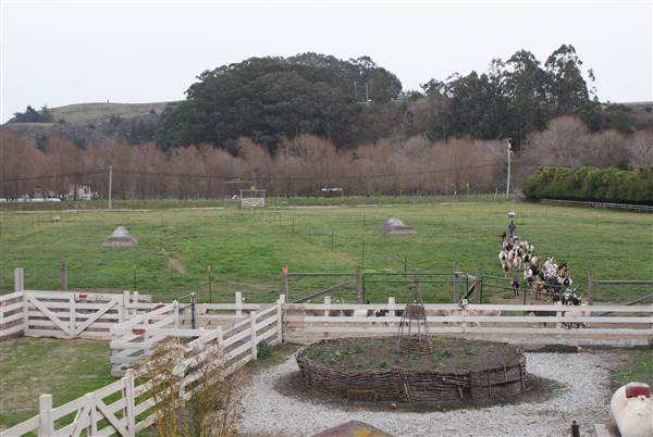 Harley Farms (8/20/2013)