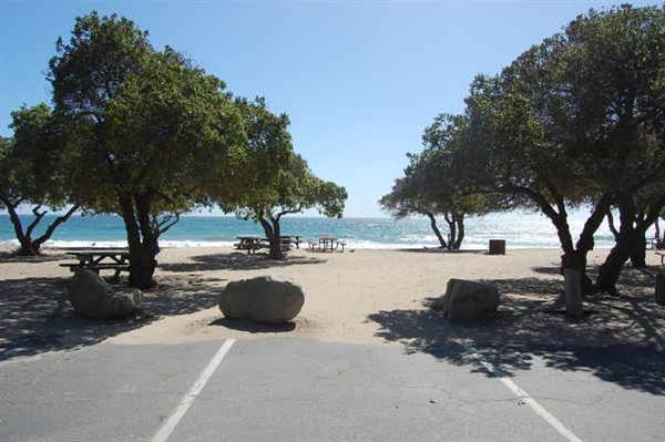 Sycamore Cove State Beach (SB) & Campground @ Point Mugu State Park (SP) - CFC (10/29/2013 - Credits: David Golden)