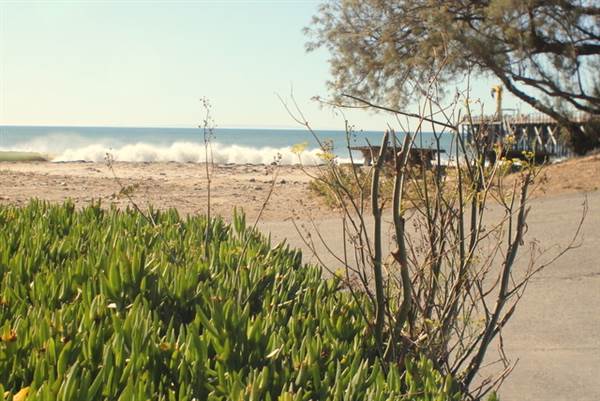 Gaviota State Park (SP) (11/4/2013 - Credits: David Golden)