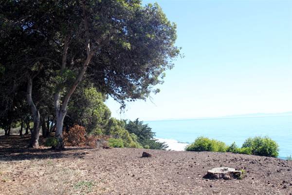 El Capitan State Beach (SB) (11/4/2013 - Credits: David Golden)