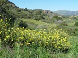 Santa Susana Pass State Historic Park (SHP) and former Spahn Movie Ranch (6/2/2014)