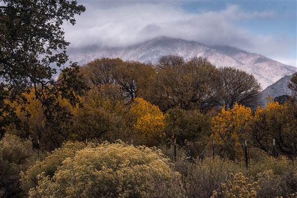 Pyramid Lake (1/26/2015)
