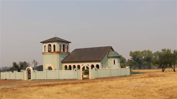 Anselmo Vineyard (10/29/2015)