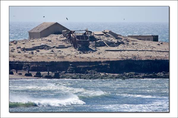 Año  Nuevo State Park (SP) (1/8/2016 - Credits: http://www.parks.ca.gov/ImageGallery/?page_id=523)