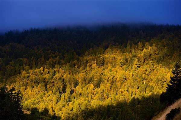 Benbow State Recreation Area (SRA) (1/12/2016 - Credits: Courtesy of California State Parks, 2016)