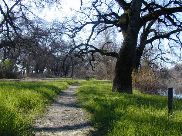 Bidwell-Sacramento River State Park (SP) (1/12/2016 - Credits: http://www.parks.ca.gov/ImageGallery/?page_id=463)