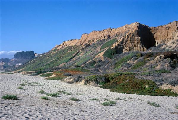 Manresa State Beach (SB) (1/20/2016 - Credits: Courtesy of California State Parks, 2016)