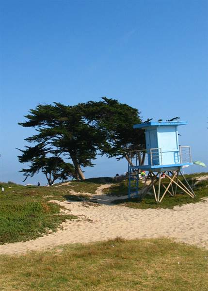 Carpinteria State Beach (SB) (1/14/2016 - Credits: http://www.parks.ca.gov/ImageGallery/?page_id=599)