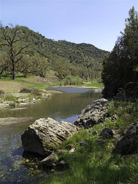 Henry W. Coe State Park (SP) (3/1/2016)