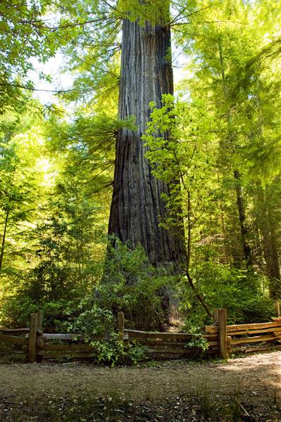 Standish-Hickey State Recreation Area (SRA) (3/1/2016)