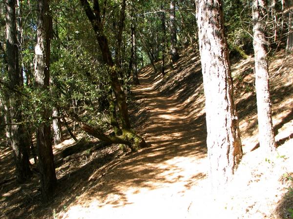 Castle Crags State Park (SP) - http://stateparkclosurestrip.blogspot.com/ (3/2/2016 - Credits: Photo courtesy of Lucy D'Mot)