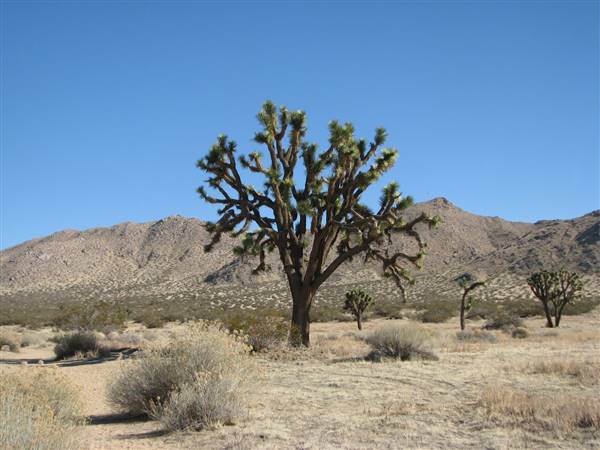 Saddleback Butte State Park (SP) - http://stateparkclosurestrip.blogspot.com/ (3/3/2016 - Credits: Photo courtesy of Lucy D'Mot)
