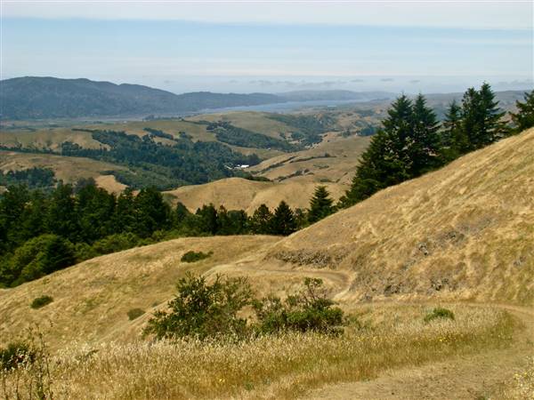 Samuel P. Taylor State Park (SP) - http://stateparkclosurestrip.blogspot.com/ (3/3/2016 - Credits: Photo courtesy of Lucy D'Mot)