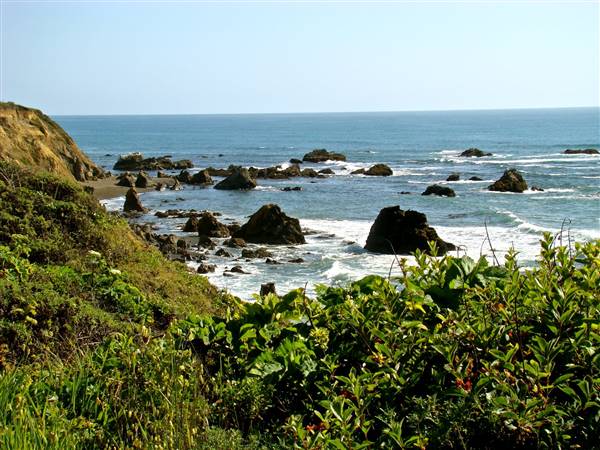 Westport-Union Landing State Beach (SB) - http://stateparkclosurestrip.blogspot.com/ (3/3/2016 - Credits: Photo courtesy of Lucy D'Mot)