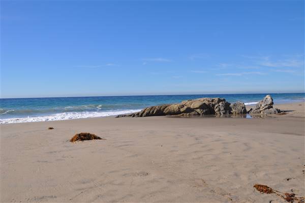 Leo Carrillo State Park and Beach (SP) (3/7/2016 - Credits: Photo courtesy of Robin Citrin)