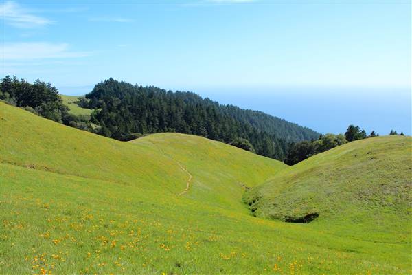 Mount Tamalpais State Park (SP) (3/9/2016 - Credits: Photo courtesy of Marin Convention & Visitors Bureau)