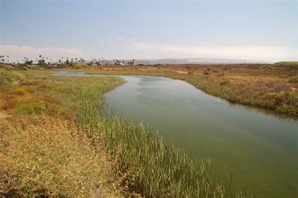 Tijuana Estuary NP Point of Interest /  State Park (SP) - Photo courtesy of Josh McNair, californiathroughmylens.com (3/24/2016 - Credits: Photo courtesy of Josh McNair, californiathroughmylens.com)