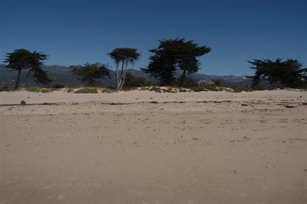 Carpinteria State Beach (SB) (4/5/2016)
