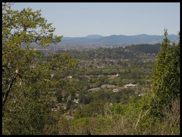 Trione-Annadel State Park (SP) - Photo courtesy of Tim Sartoris (4/7/2016 - Credits: Photo courtesy of Tim Sartoris)