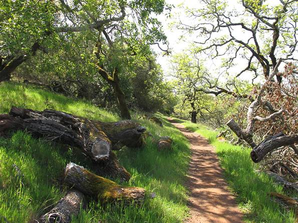 Trione-Annadel State Park (SP) - Photo courtesy of Tim Sartoris (4/7/2016 - Credits: Photo courtesy of Tim Sartoris)