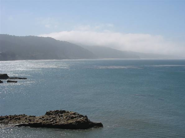 Año  Nuevo State Park (SP) - Photo courtesy of Tim Sartoris (4/7/2016 - Credits: Photo courtesy of Tim Sartoris)