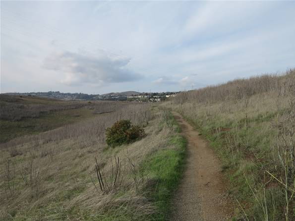 Benicia State Recreation Area (SRA) - Photo courtesy of Tim Sartoris (4/7/2016 - Credits: Photo courtesy of Tim Sartoris)