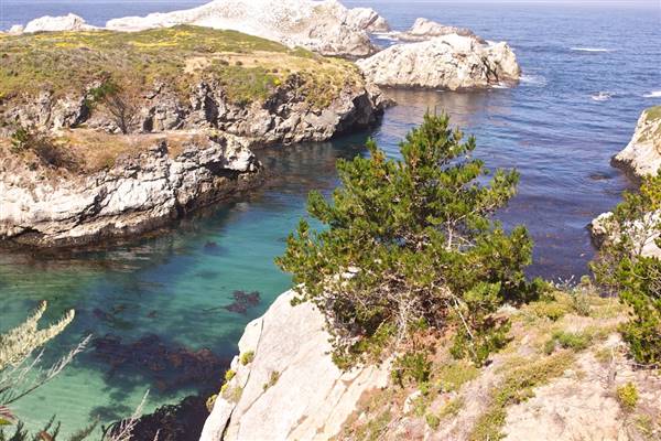 Point Lobos State Natural Reserve (SNR) - Photos by Callie Bowdish - http://www.calliebowdish.com/slideshow/PointLobos/index.html (4/7/2016 - Credits: Photos by Callie Bowdish - http://www.calliebowdish.com/slideshow/PointLobos/index.html)
