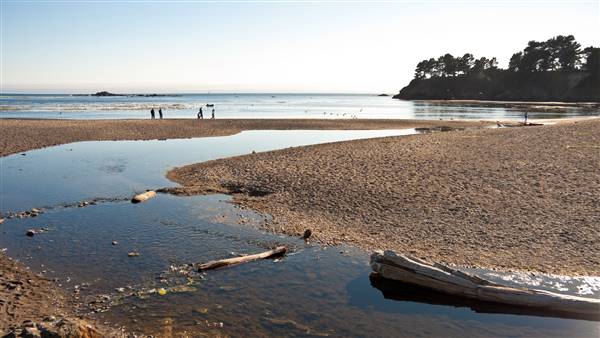 Van Damme State Park (SP) / Beach / Pygmy Forest / Fern Canyon Trail / Spring Ranch Trail - Beach (8/16/2010 - Credits: By David Eppstein (Own work) [CC BY-SA 3.0 (http://creativecommons.org/licenses/by-sa/3.0)], via Wikimedia Commons)