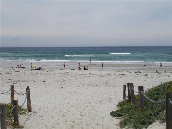 Asilomar State Beach and Conference Grounds (5/19/2006 - Credits: By Michelle (Asilomar Beach  Uploaded by Ekabhishek) [CC BY 2.0 (http://creativecommons.org/licenses/by/2.0)], via Wikimedia Commons)