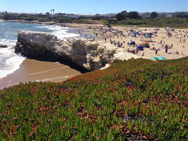 Natural Bridges State Beach (SB) (7/5/2014 - Credits: By Runner1928 (Own work) [CC BY-SA 3.0 (http://creativecommons.org/licenses/by-sa/3.0)], via Wikimedia Commons)