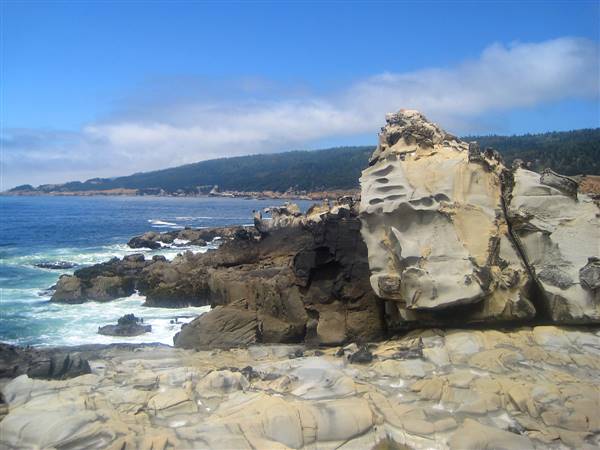 Salt Point State Park (SP) (7/22/2010 - Credits: By Angrylambie (Own work) [Public domain], via Wikimedia Commons)