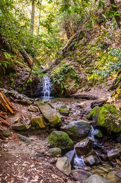 Portola Redwoods State Park (SP) (3/8/2015 - Credits: "Tip Toe Falls" by Wayne Hseih (CC BY-NC 2.0)[https://creativecommons.org/licenses/by-nc/2.0/legalcode] https://www.flickr.com/photos/whsieh78/)
