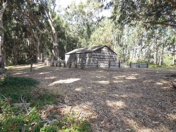 Andrew Molera State Park (SP) (8/10/2014 - Credits: "Andrew Molera State park (4)" by Flickr User: Vallie (CC BY-NC-ND 2.0)[https://creativecommons.org/licenses/by-nc-nd/2.0/legalcode]https://www.flickr.com/photos/sashimineko/)