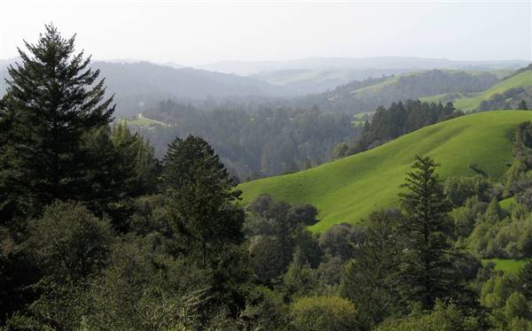 Portola Redwoods State Park (SP) (3/29/2009 - Credits: "Portola Redwoods State Park" By Kelly Joyner (CC BY-NC 2.0)[https://creativecommons.org/licenses/by-nc/2.0/legalcode] https://www.flickr.com/photos/delusionary/)