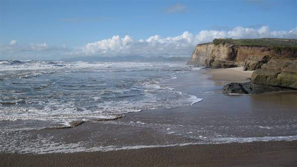 Pomponio State Beach (SB) (4/12/2010 - Credits: "Picture 226" by Andrew K. Smith (CC BY 2.0)[https://creativecommons.org/licenses/by/2.0/legalcode]https://www.flickr.com/photos/23313207@N00/)