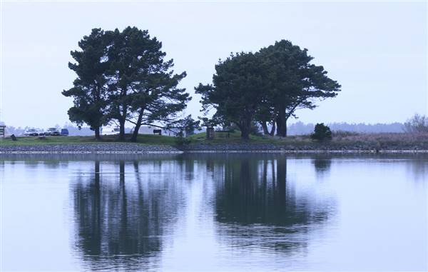 Arcata Marsh and Wildlife Sanctuary (3/10/2012 - Credits: "IMG_3545" by Bob Doran (CC BY 2.0)[https://creativecommons.org/licenses/by/2.0/legalcode]https://www.flickr.com/photos/humblog/)