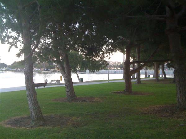 Alondra Community Regional Park (10/13/2010 - Credits: "Alondra Park" by Flickr User: Urban Outbacker (CC BY 2.0)[https://creativecommons.org/licenses/by/2.0/legalcode]https://www.flickr.com/photos/urbanoutbacker/)
