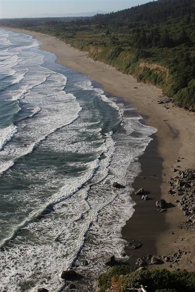 Redwood National & State Parks (6/16/2012 - Credits: "Redwood National Park: Crescent Beach Overlook" by John Hyun (CC BY-NC-ND 2.0)[https://creativecommons.org/licenses/by-nc-nd/2.0/legalcode]https://www.flickr.com/photos/jshyun/)
