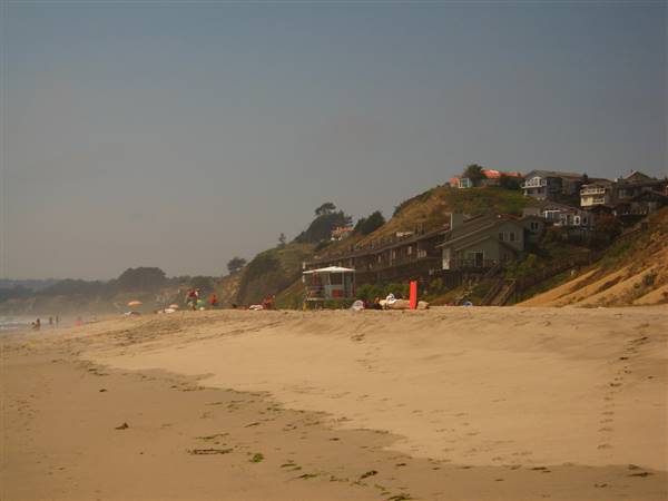 Manresa State Beach (SB) (7/13/2006 - Credits: "Manresa Beach" by Sam Lunn (CC BY 2.0)[https://creativecommons.org/licenses/by/2.0/legalcode]https://www.flickr.com/photos/spoonmonkey/)
