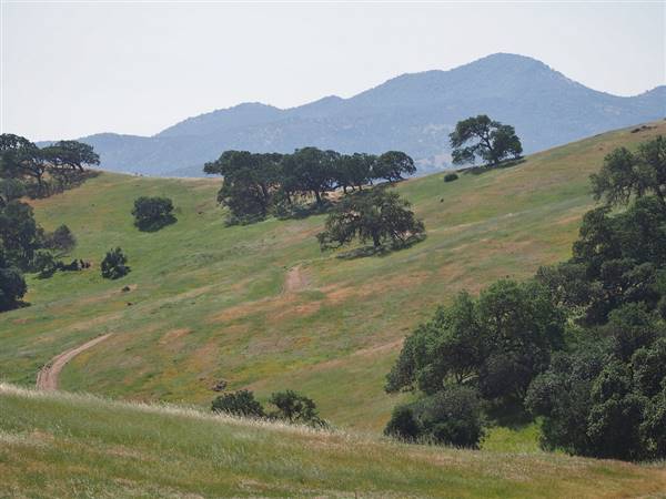 Pacheco State Park (SP) and Windmill Farm / Wind Energy (4/5/2015 - Credits: "Pacheco State Park" by J. Maughn (CC BY-NC 2.0)[https://creativecommons.org/licenses/by-nc/2.0/legalcode]https://www.flickr.com/photos/jmaughn/)
