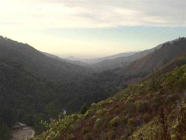 Pfeiffer Big Sur State Park (SP) (11/16/2014 - Credits: "Pfeiffer Park at Big Sur" by Mark Sopelana (CC BY 2.0)[https://creativecommons.org/licenses/by/2.0/legalcode]https://www.flickr.com/photos/16717973@N00/)