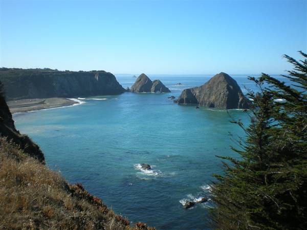 Salt Point State Park (SP) (9/15/2009 - Credits: "Salt Point State Park" by Flickr User: bookwoman_52 (CC BY-NC-ND 2.0)[https://creativecommons.org/licenses/by-nc-nd/2.0/legalcode]https://www.flickr.com/photos/leechun/)