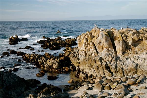 Asilomar State Beach and Conference Grounds (2/24/2008 - Credits: Photo Courtesy of California Travel and Tourism Commissioin / Blaise)