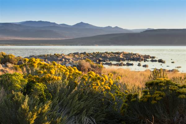 Mono Lake Tufa State Natural Reserve (SNR) / South Tufa Lake - Inyo National Forest (NF) (1/15/2015 - Credits: Photo Courtesy of Visit California / Max Whittaker 2015)